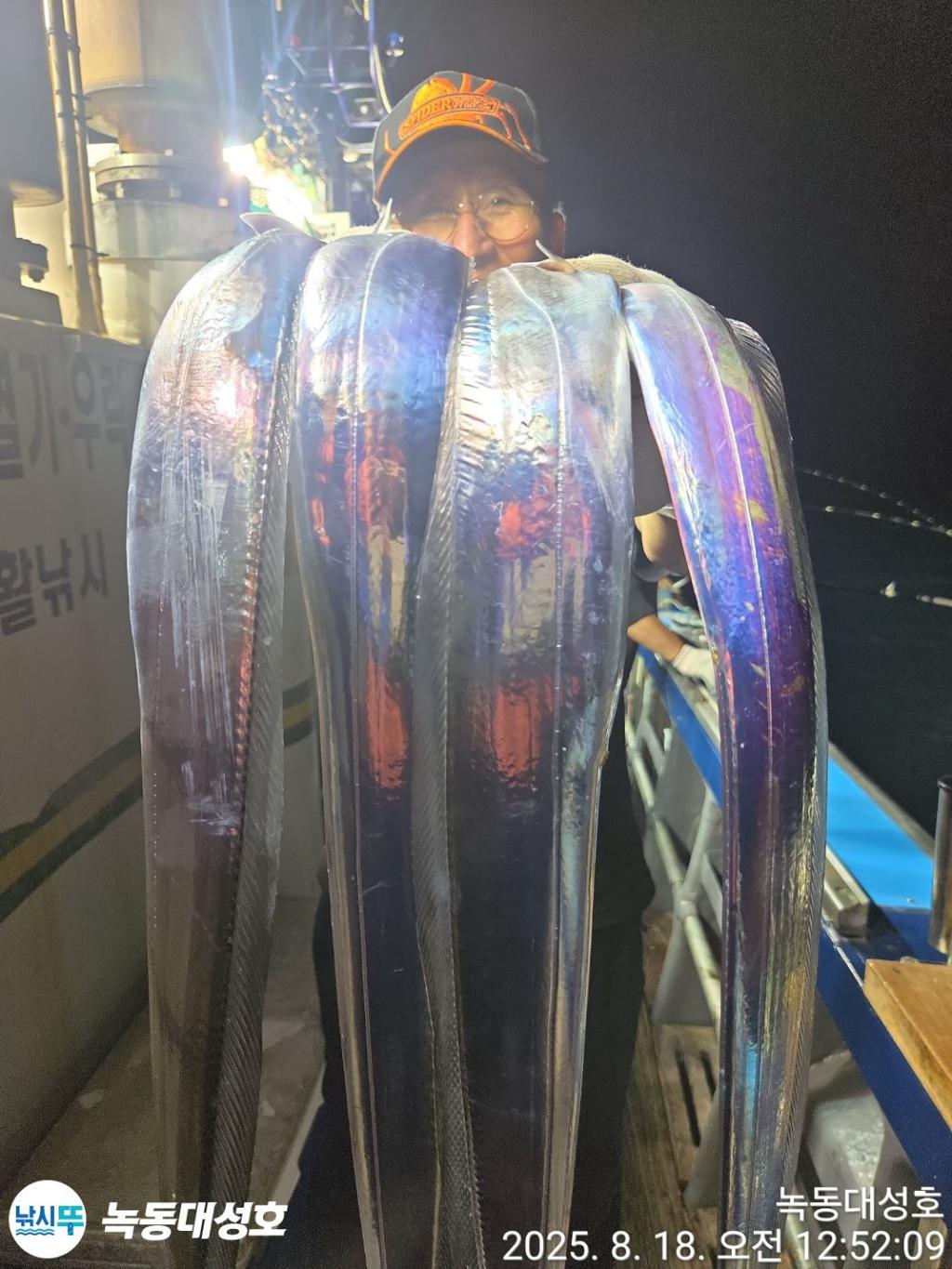 낚시뚜,갈치,녹동항,녹동대성호,낚시뚜10