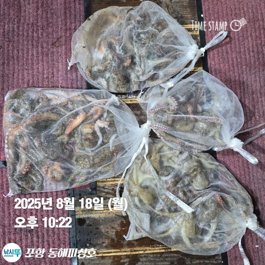 F275289122.jpg