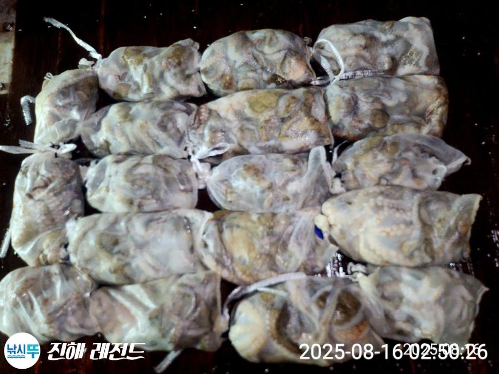 F2750388IL.jpg