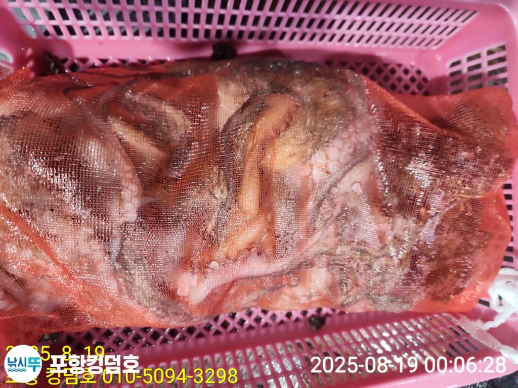F2752942JR.jpg