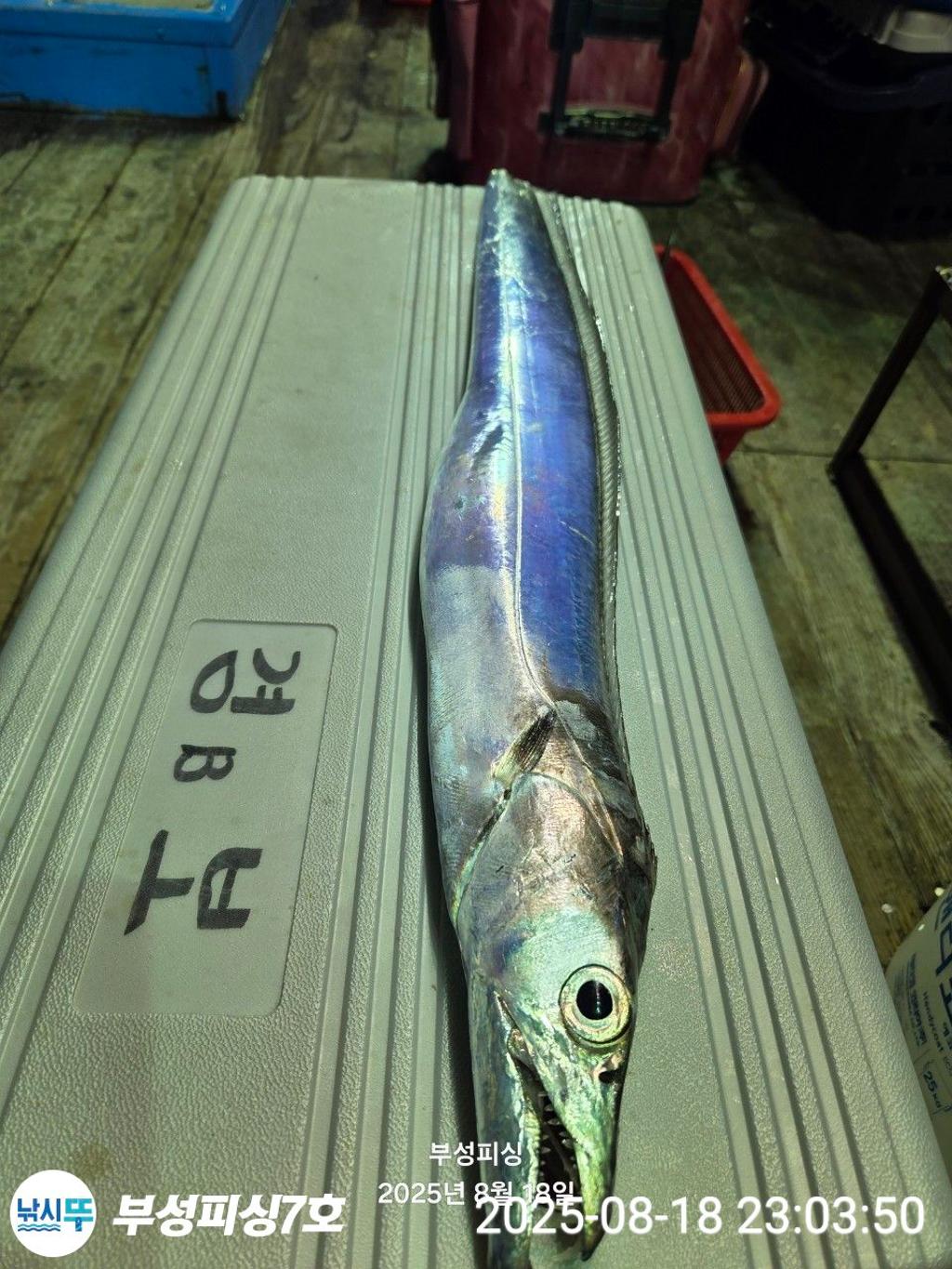 F275300046.jpg