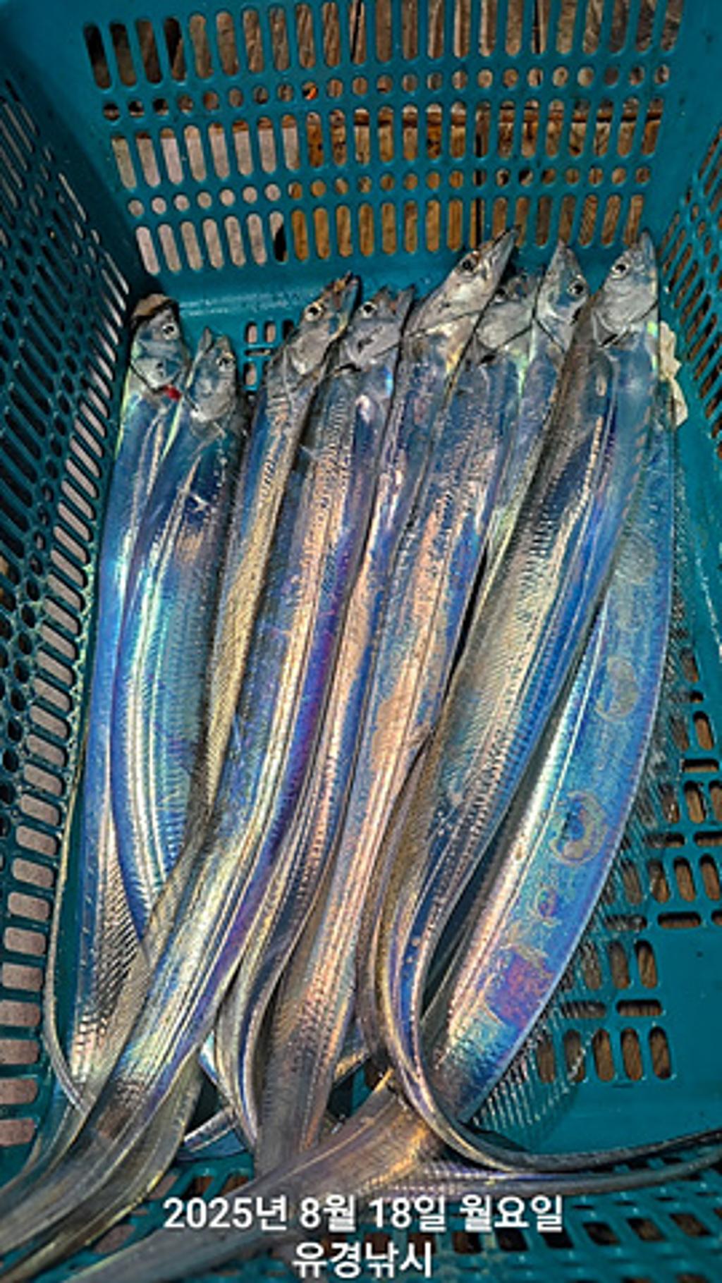 F2753281AO.jpg