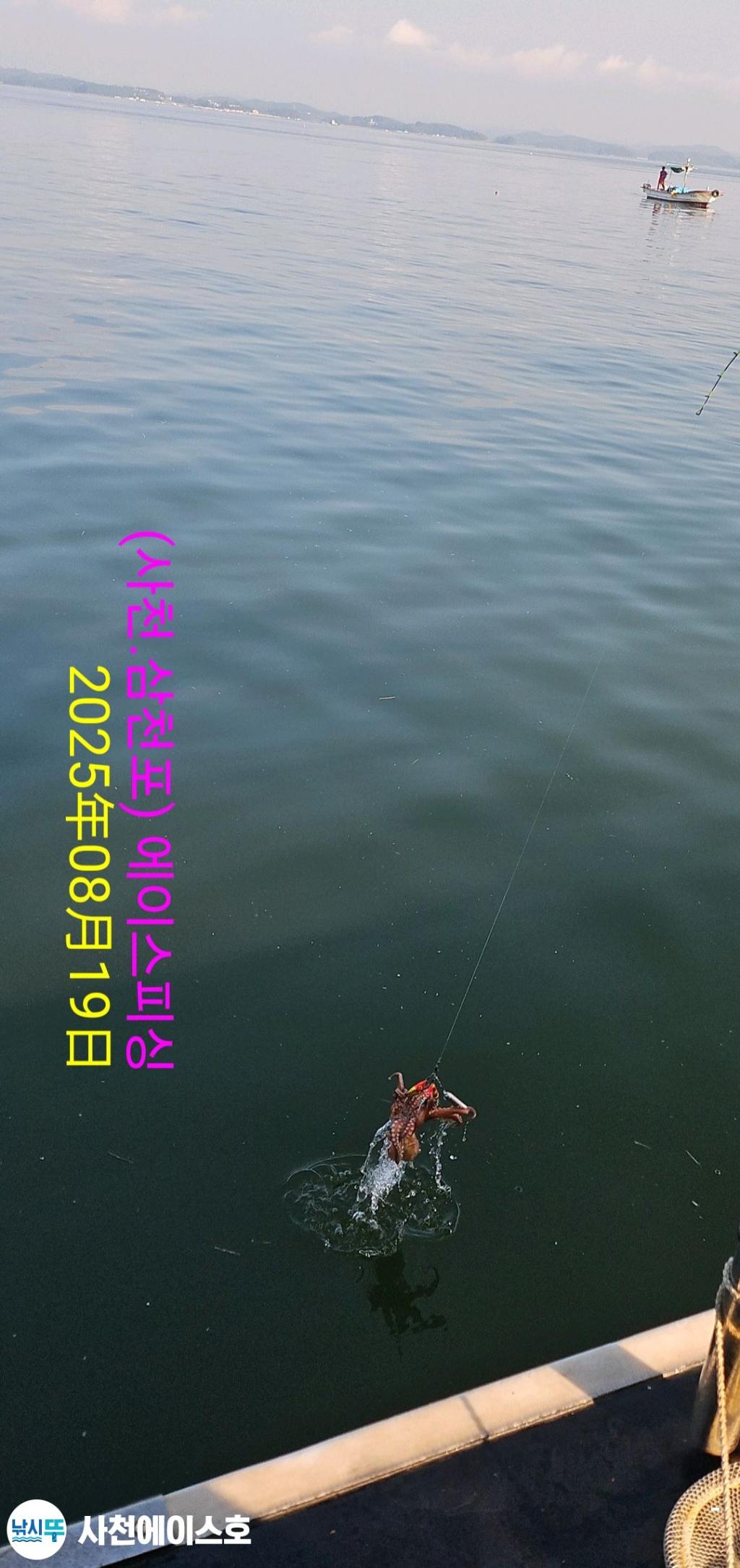 F2753533MF.jpg