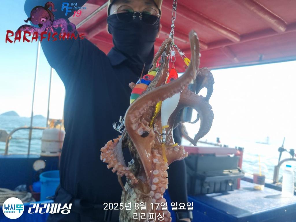 낚시뚜,돌문어,속천항(진해),라라피싱,낚시뚜15