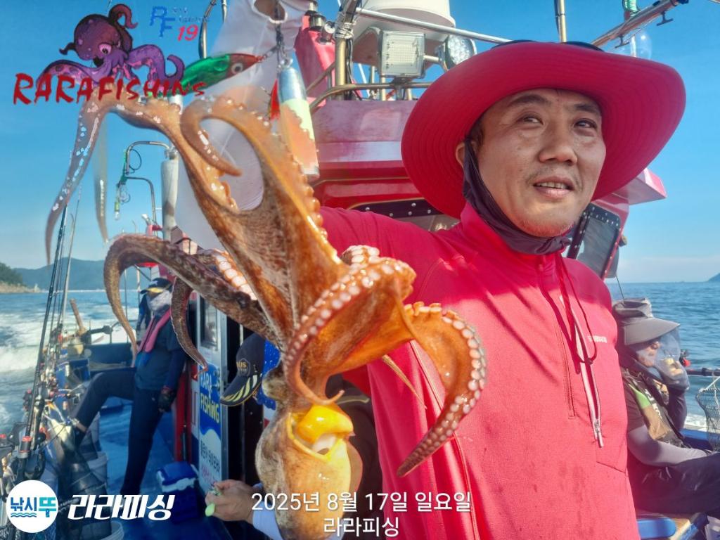 낚시뚜,돌문어,속천항(진해),라라피싱,낚시뚜14
