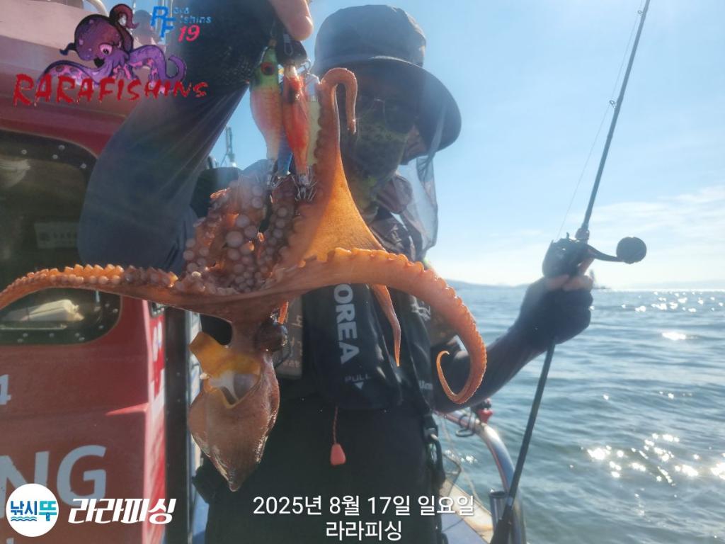 낚시뚜,돌문어,속천항(진해),라라피싱,낚시뚜7