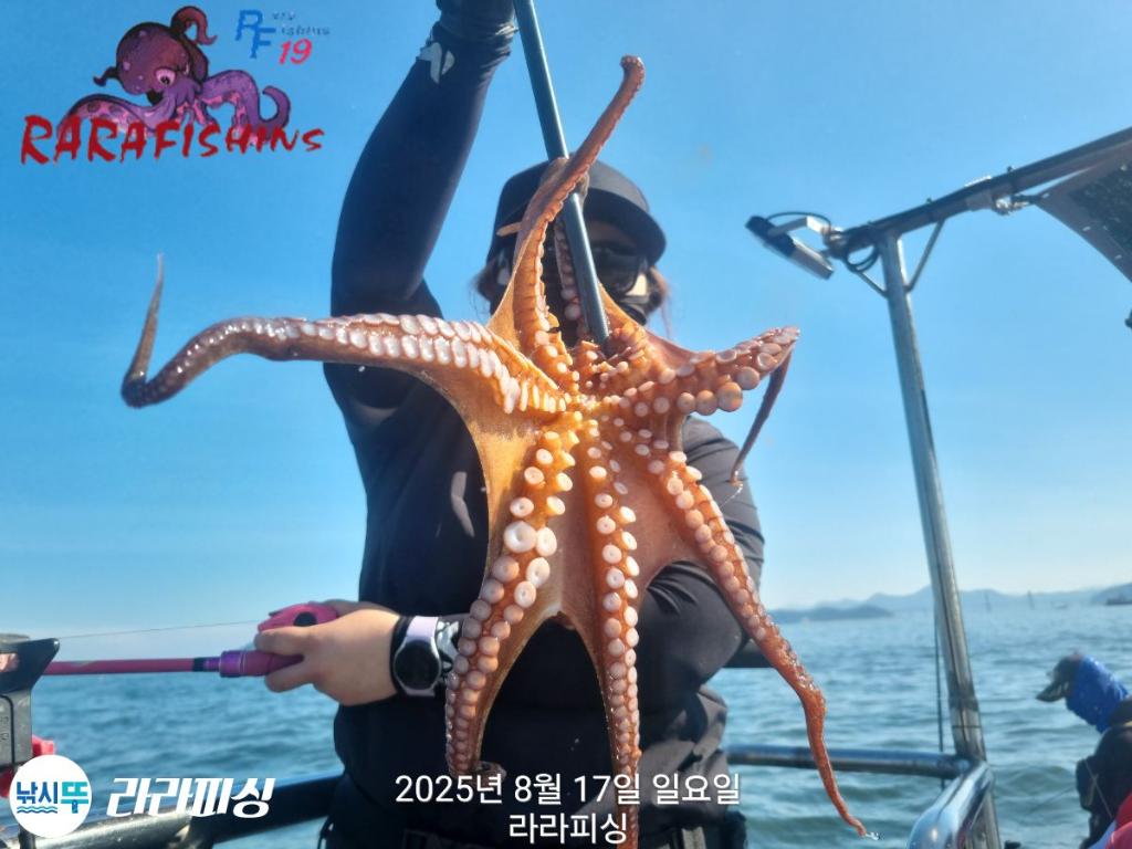 낚시뚜,돌문어,속천항(진해),라라피싱,낚시뚜6