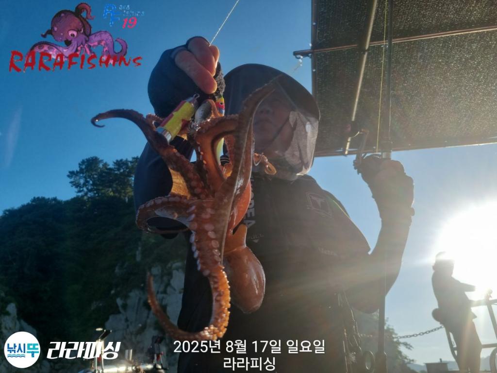 낚시뚜,돌문어,속천항(진해),라라피싱,낚시뚜5