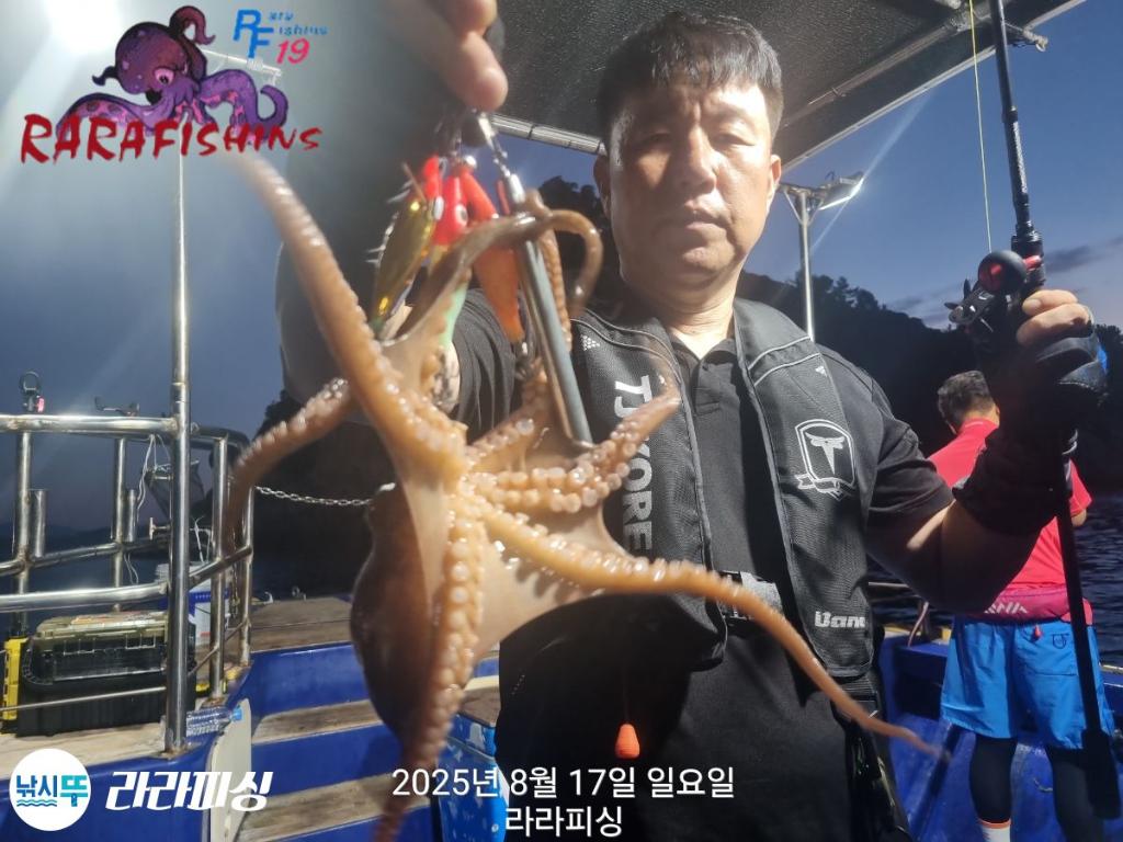 낚시뚜,돌문어,속천항(진해),라라피싱,낚시뚜2