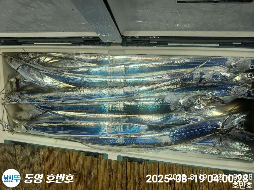 F275373983.jpg