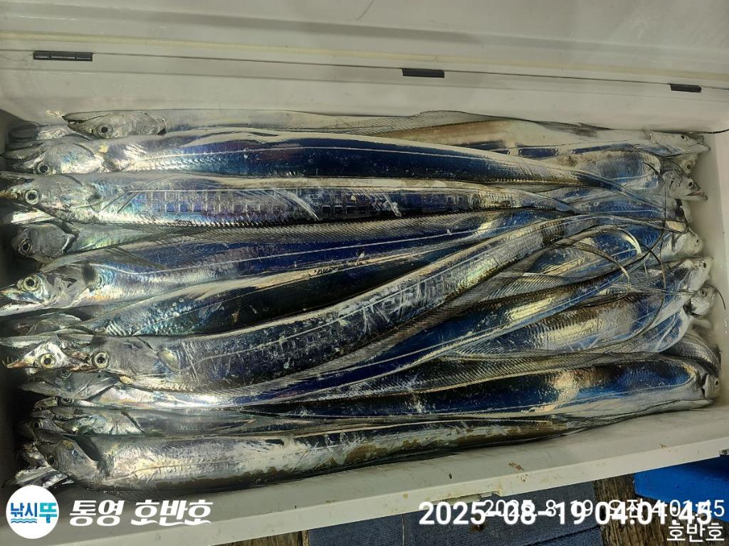 F275374095.jpg
