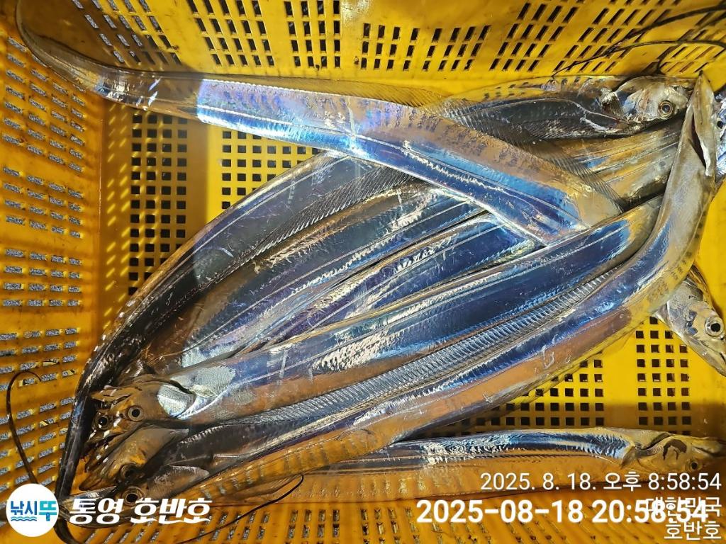 F2753748ZV.jpg