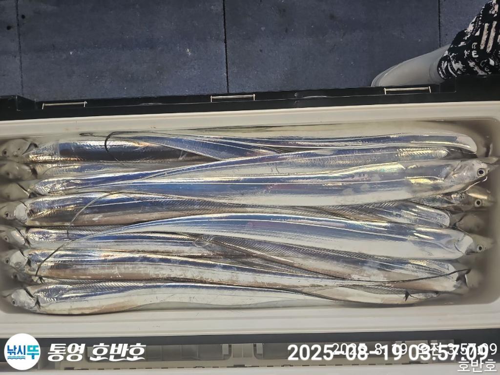 F2753755YA.jpg