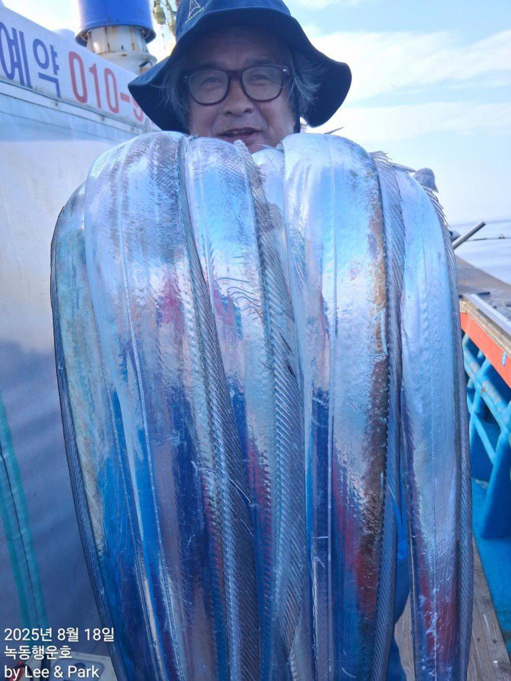 낚시뚜,갈치,녹동항,녹동대성호,낚시뚜18