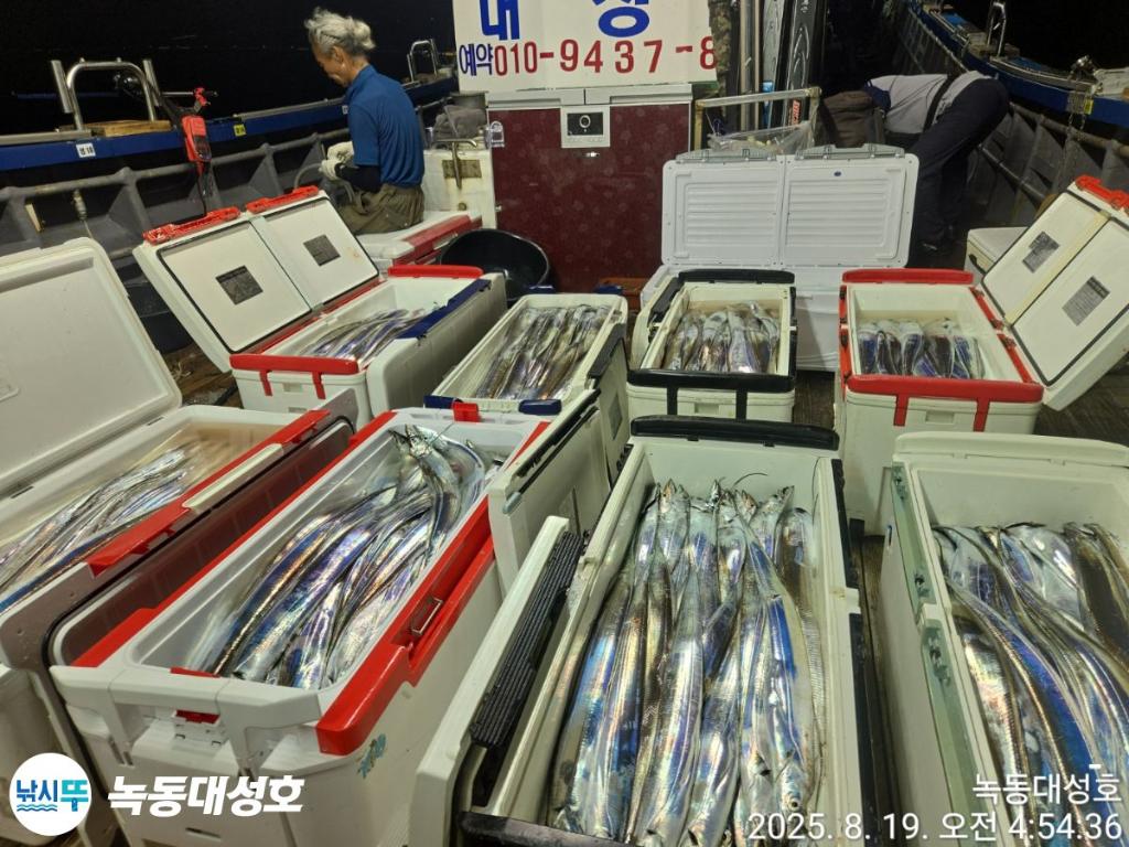 낚시뚜,갈치,녹동항,녹동대성호,낚시뚜0
