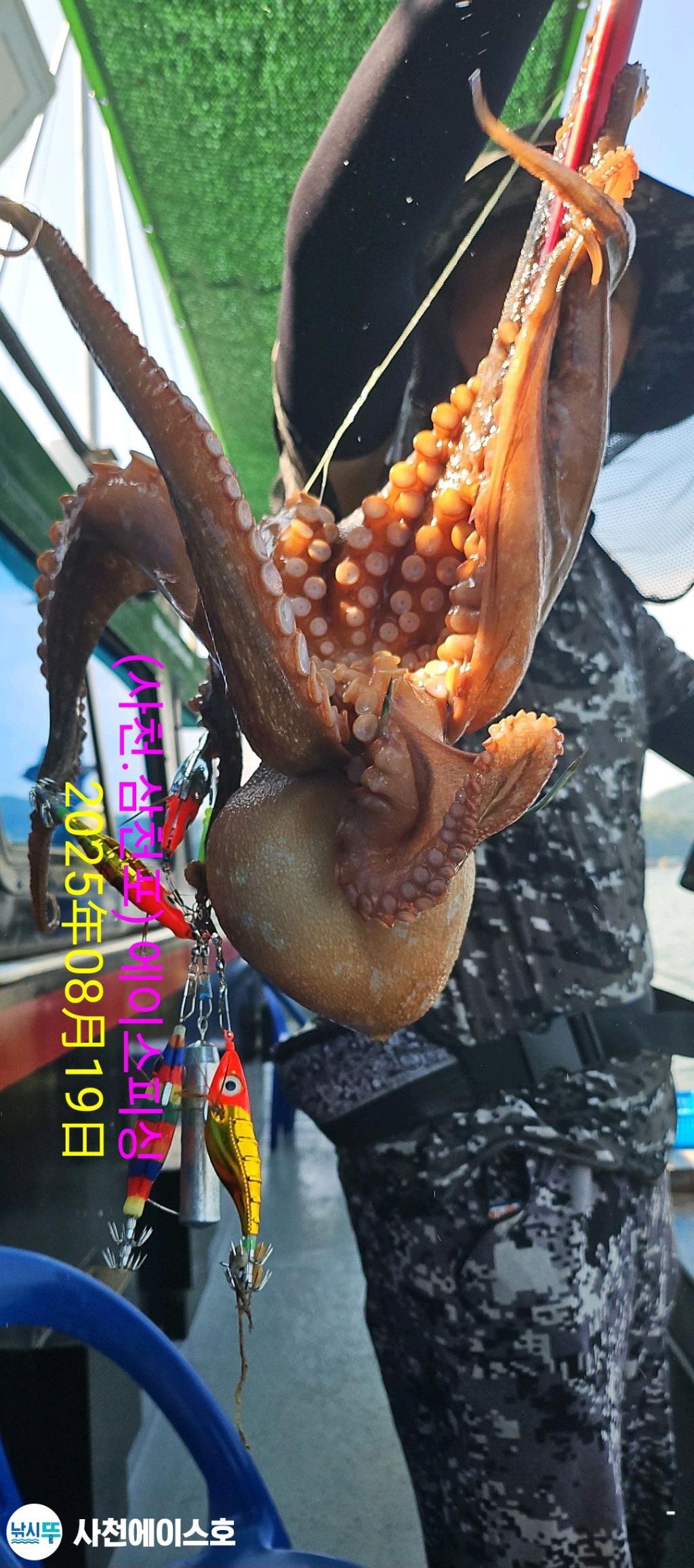 F275393919.jpg