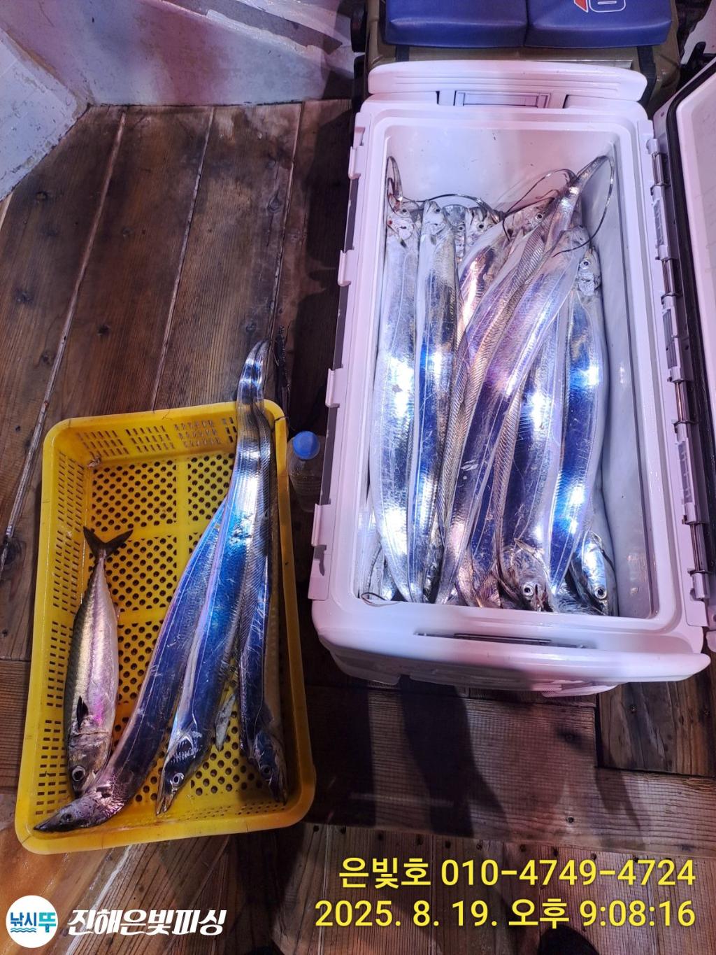 낚시뚜,갈치,진해수도항,진해은빛피싱,낚시뚜7
