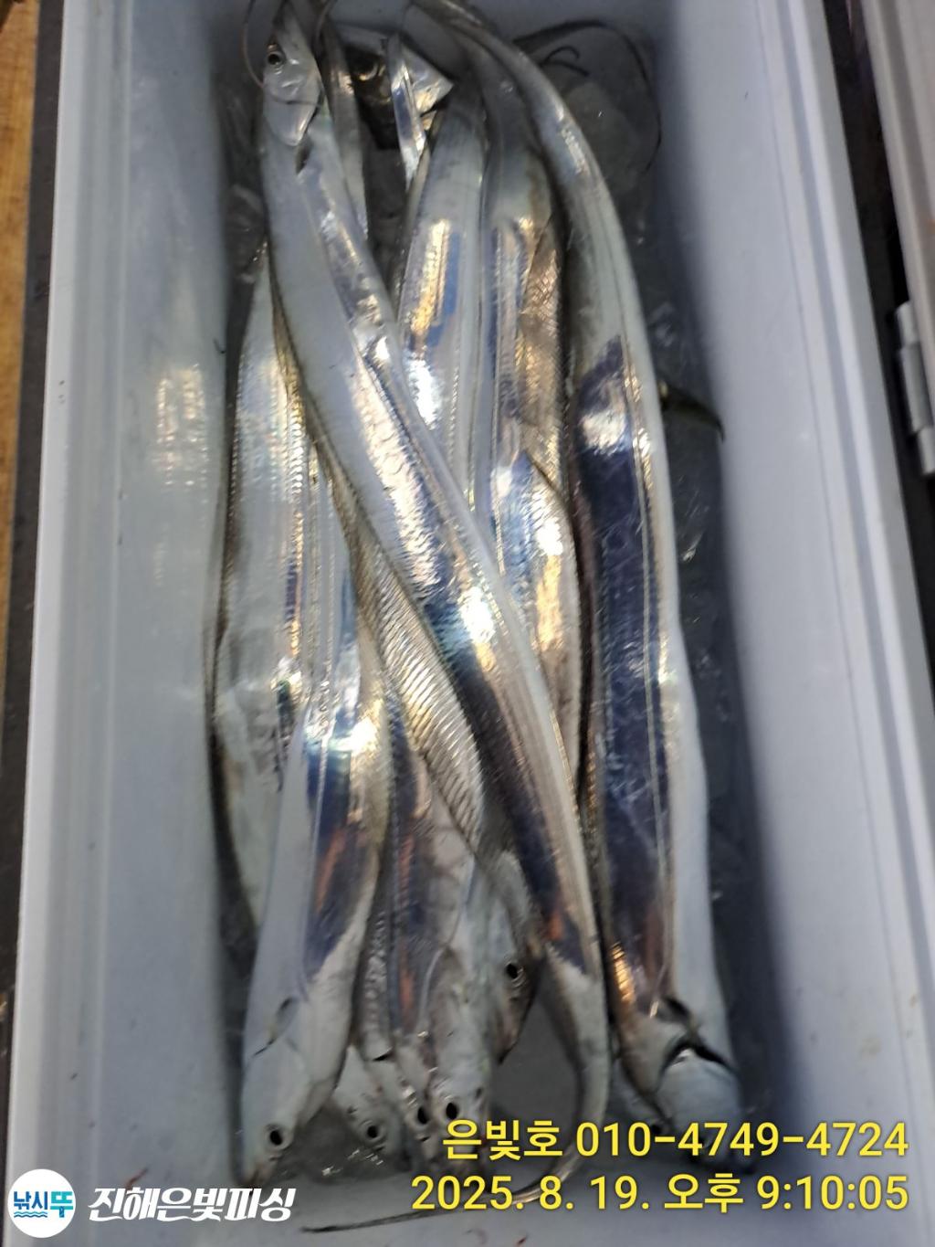 낚시뚜,갈치,진해수도항,진해은빛피싱,낚시뚜0