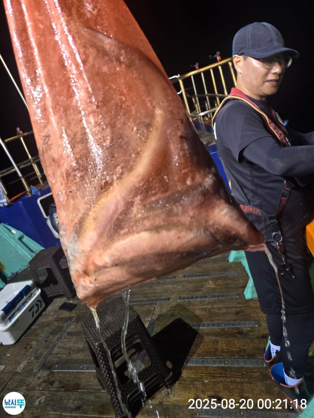 F2754140P7.jpg