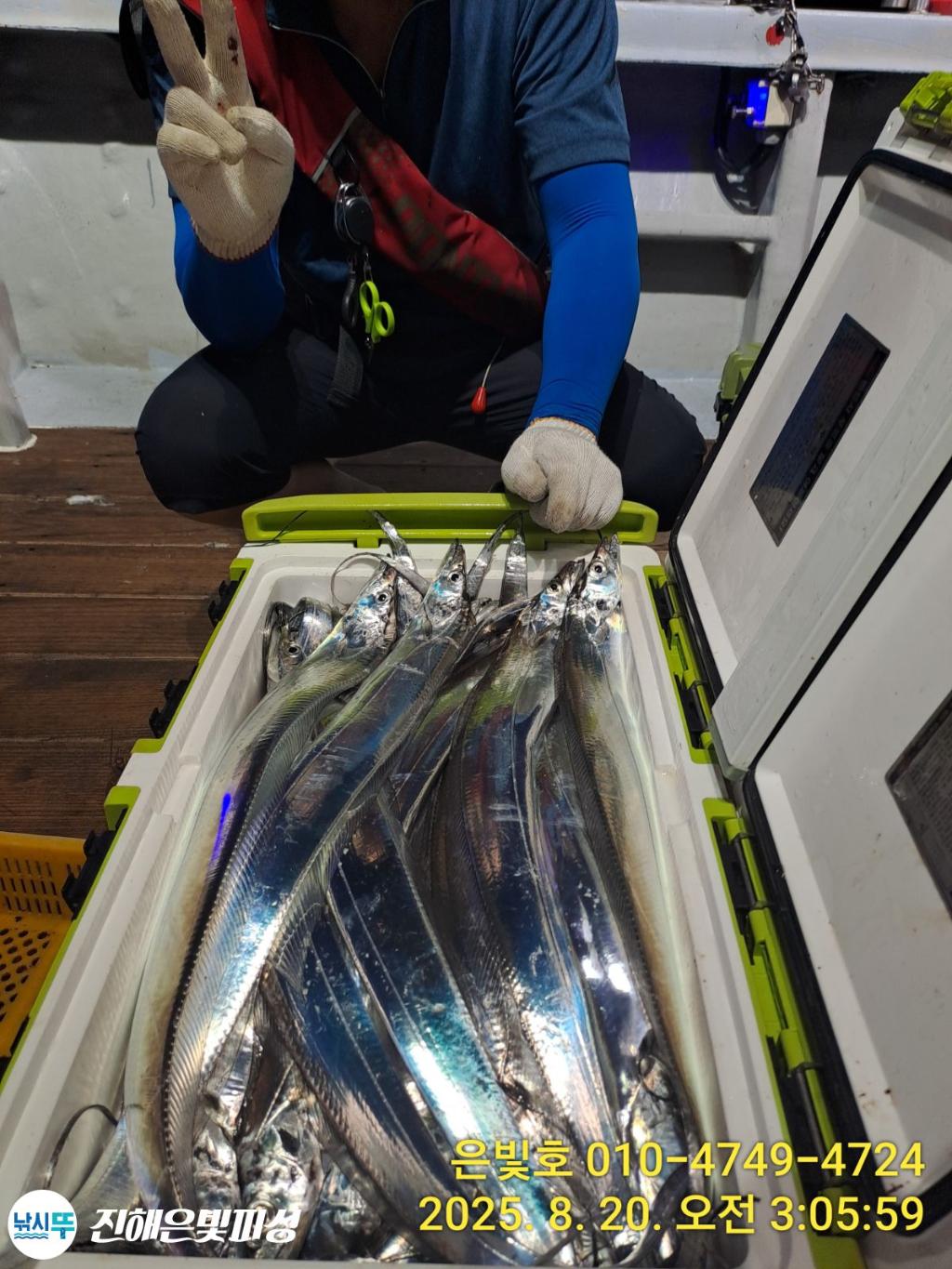낚시뚜,갈치,진해수도항,진해은빛피싱,낚시뚜18