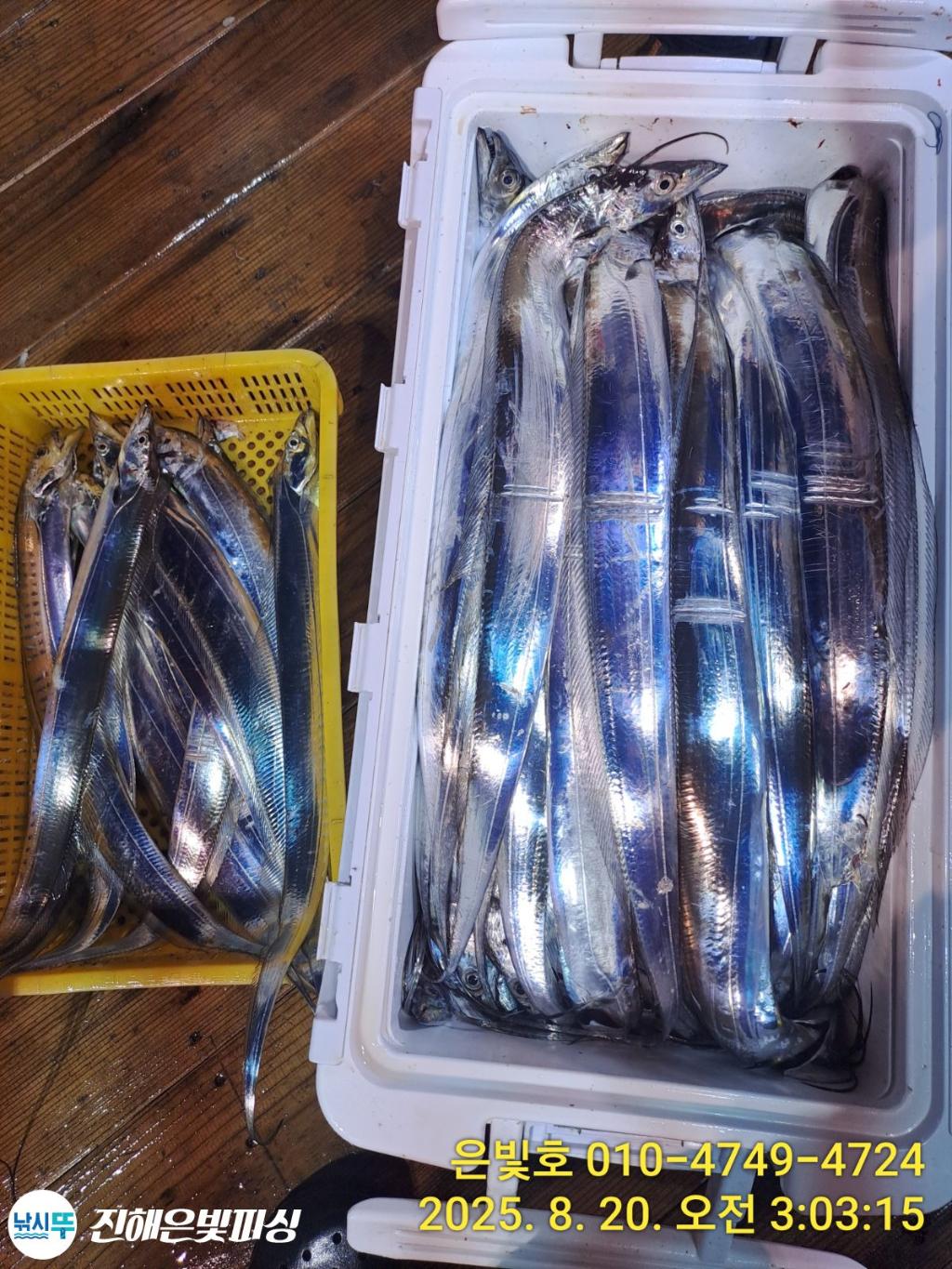낚시뚜,갈치,진해수도항,진해은빛피싱,낚시뚜10