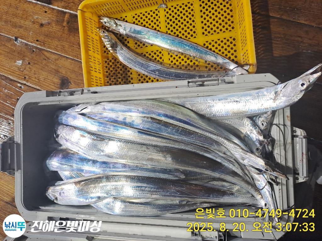 낚시뚜,갈치,진해수도항,진해은빛피싱,낚시뚜3