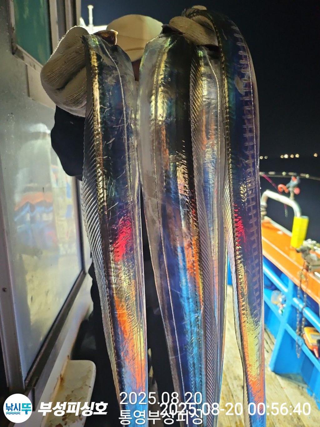 F2754427N3.jpg