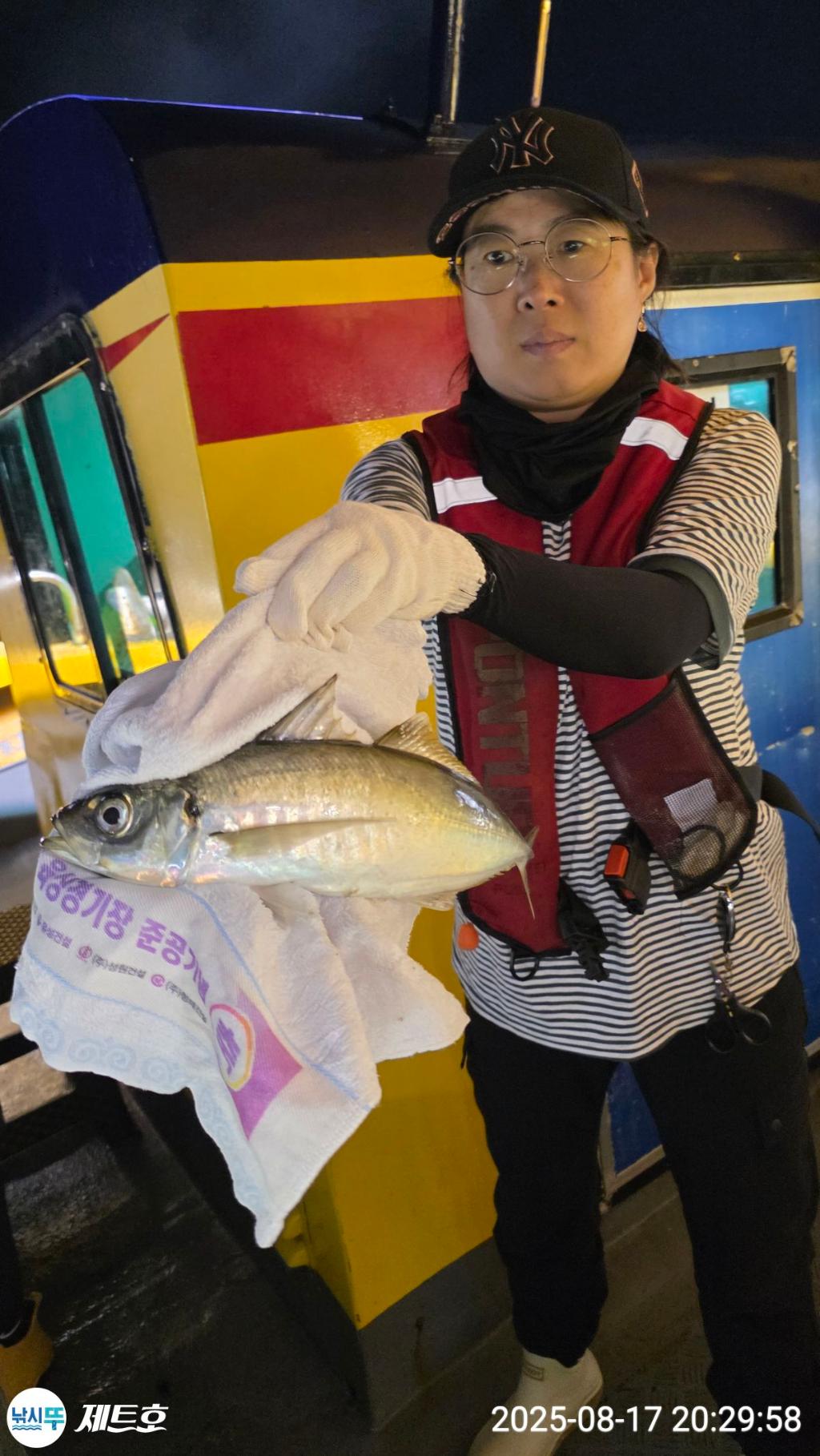 낚시뚜,고등어,전갱이,영일만항,포항 제트호,낚시뚜16