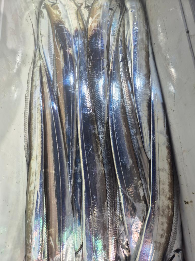 F27545334E.jpg