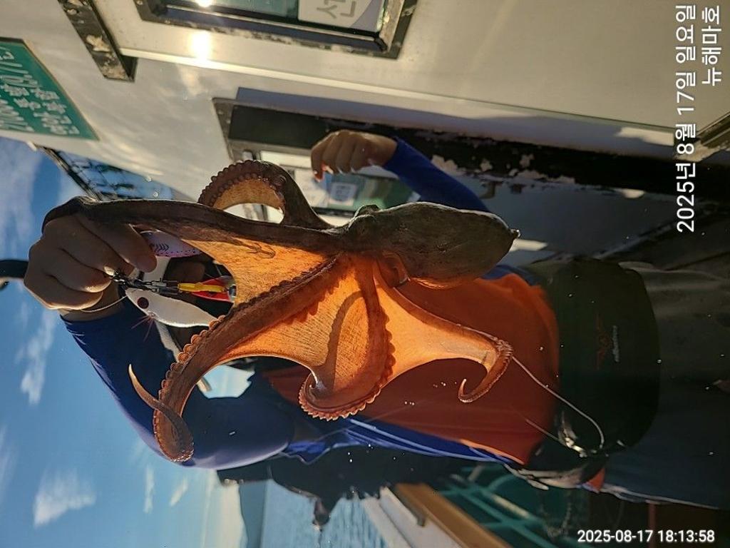 F2754848AF.jpg