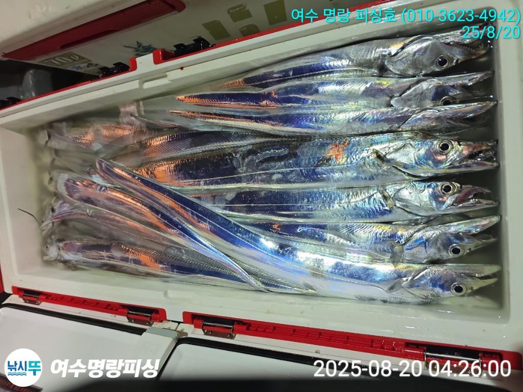 F2754943DI.jpg