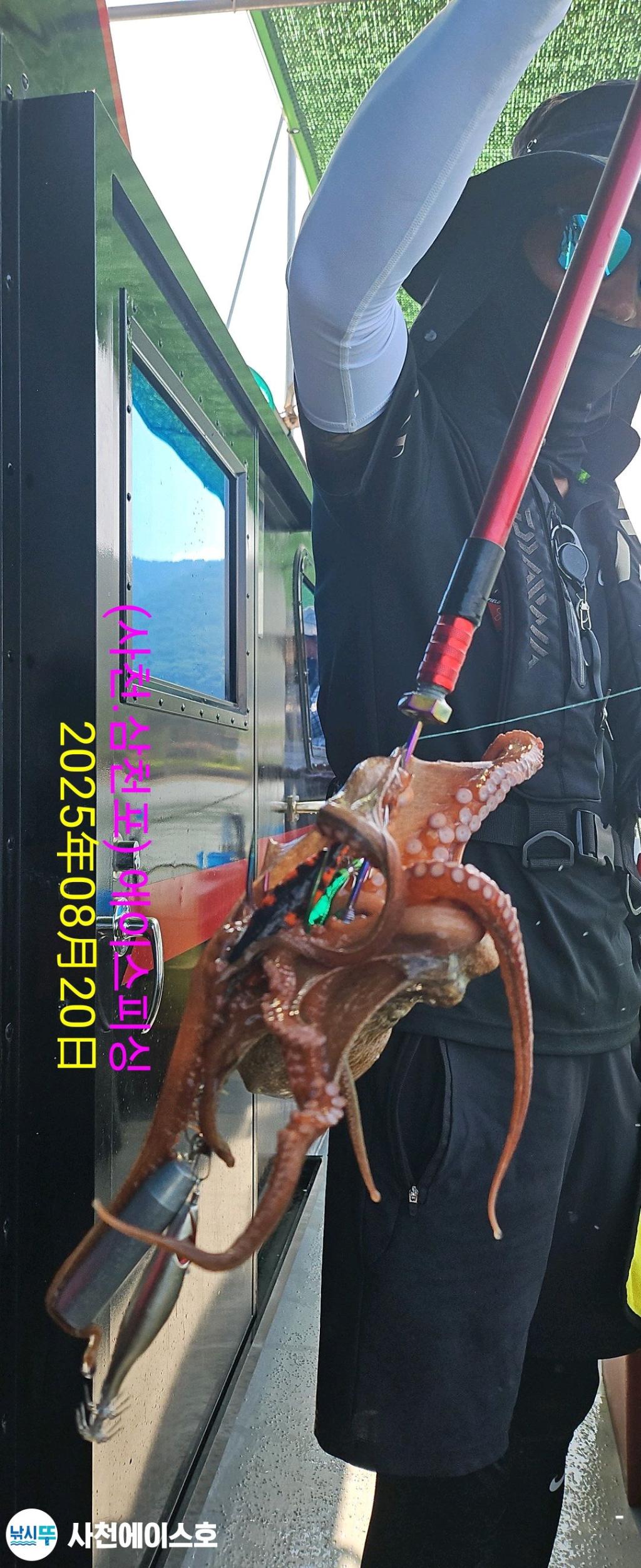 F2754999FW.jpg