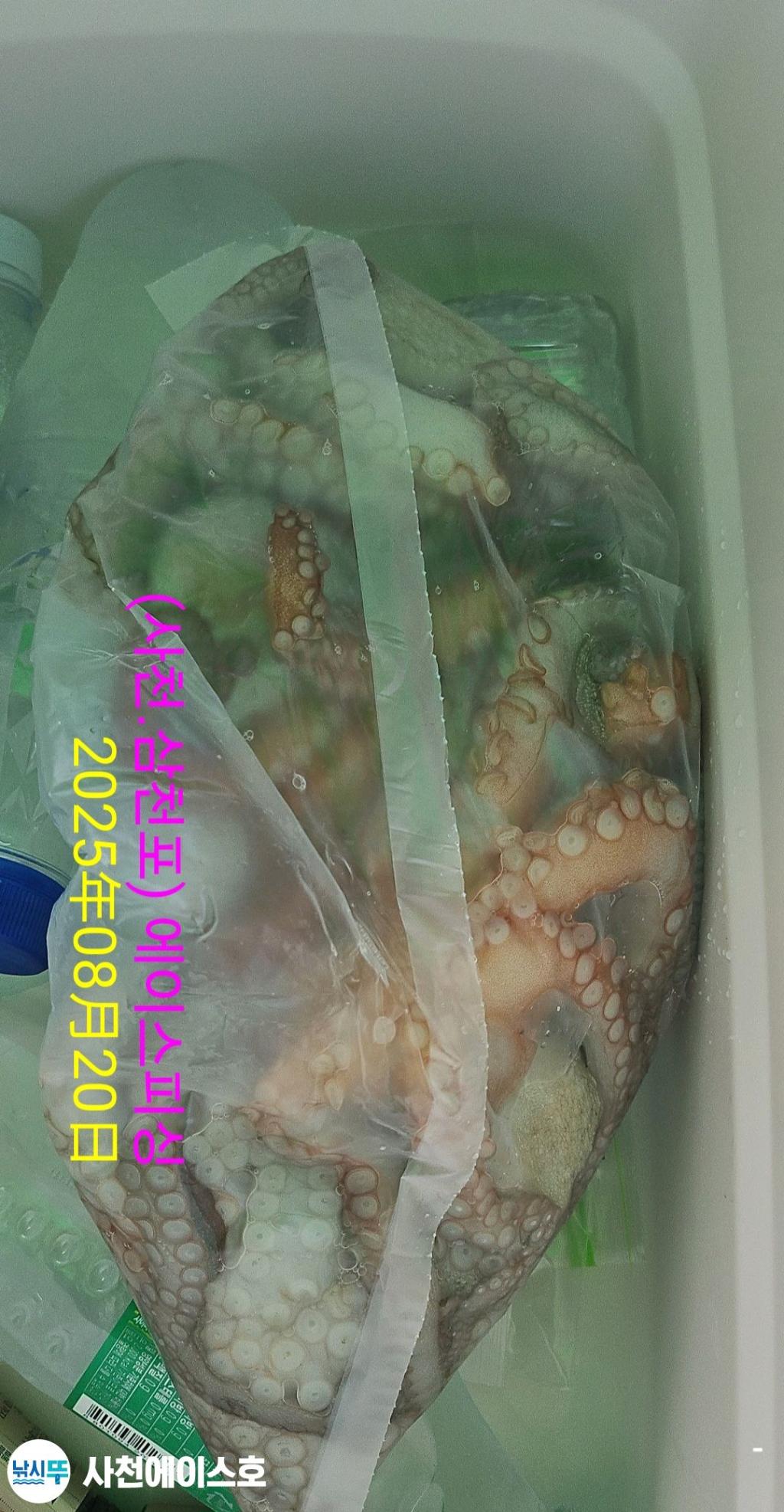 F2755108O7.jpg