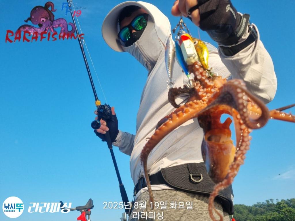 낚시뚜,돌문어,속천항(진해),라라피싱,낚시뚜8