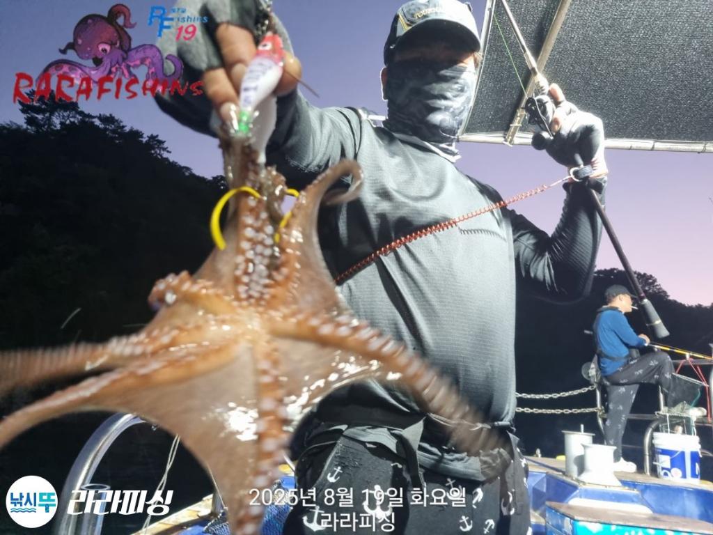 낚시뚜,돌문어,속천항(진해),라라피싱,낚시뚜7