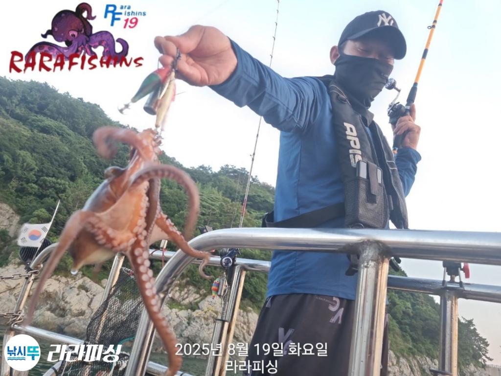 낚시뚜,돌문어,속천항(진해),라라피싱,낚시뚜4