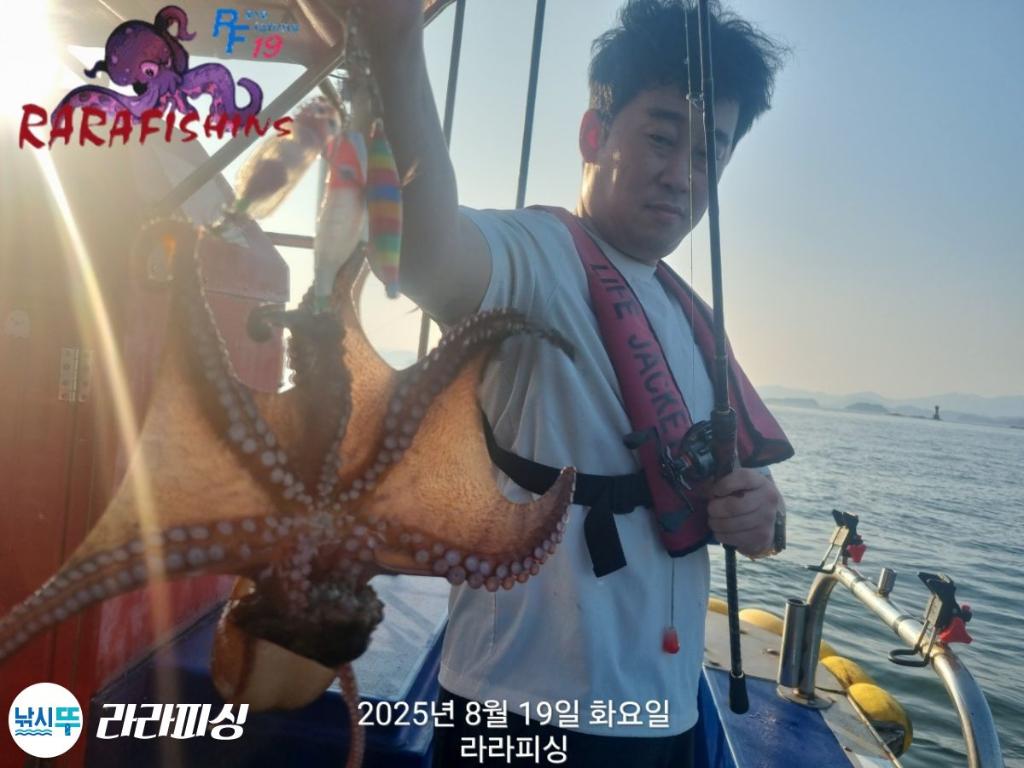 낚시뚜,돌문어,속천항(진해),라라피싱,낚시뚜2