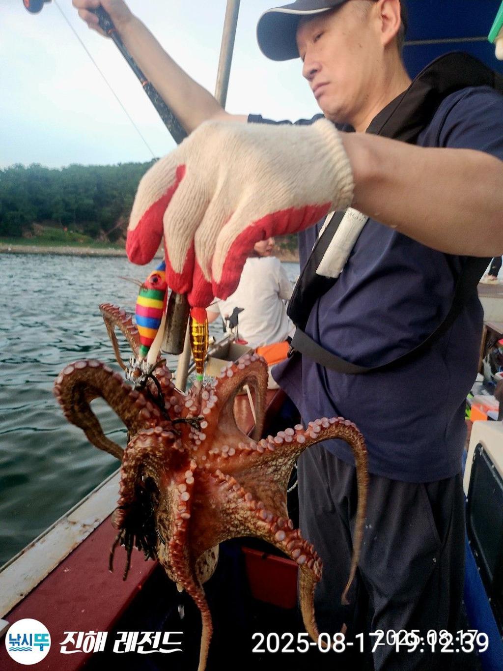 F2754722KX.jpg