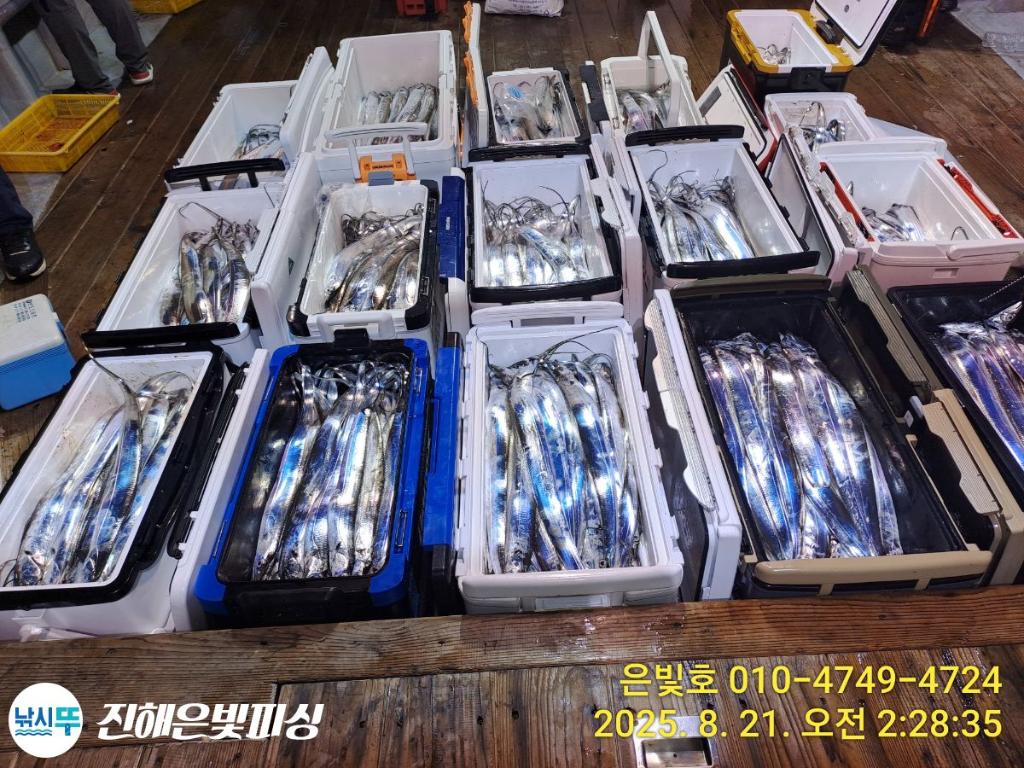낚시뚜,갈치,진해수도항,진해은빛피싱,낚시뚜18