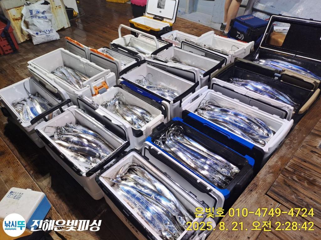 낚시뚜,갈치,진해수도항,진해은빛피싱,낚시뚜17