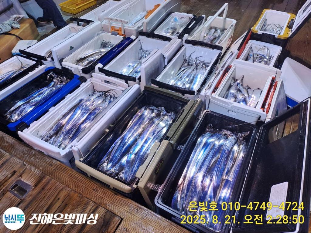 낚시뚜,갈치,진해수도항,진해은빛피싱,낚시뚜16