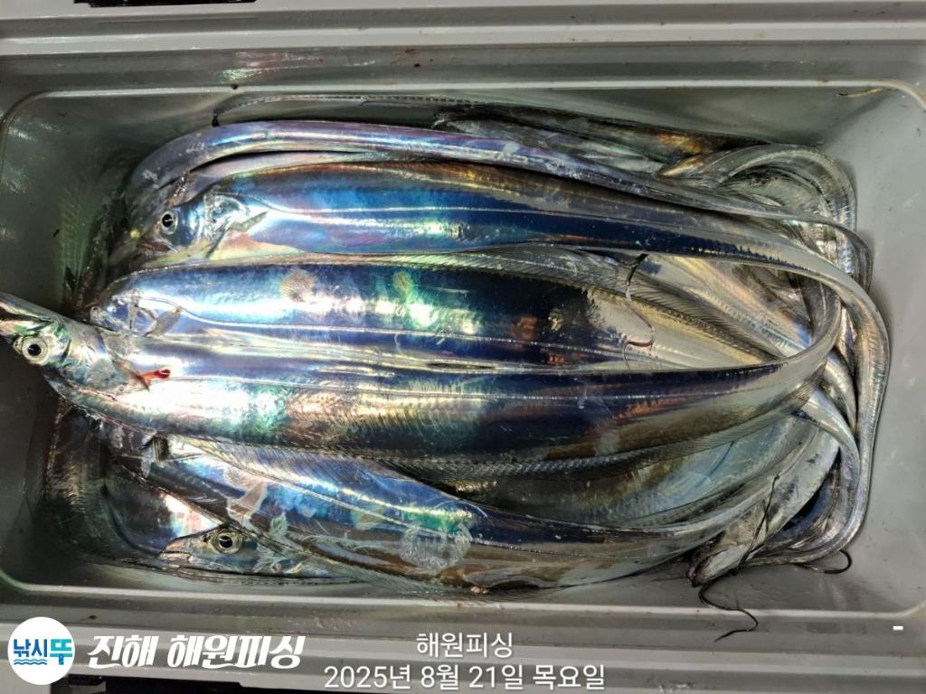 F2755500O2.jpg