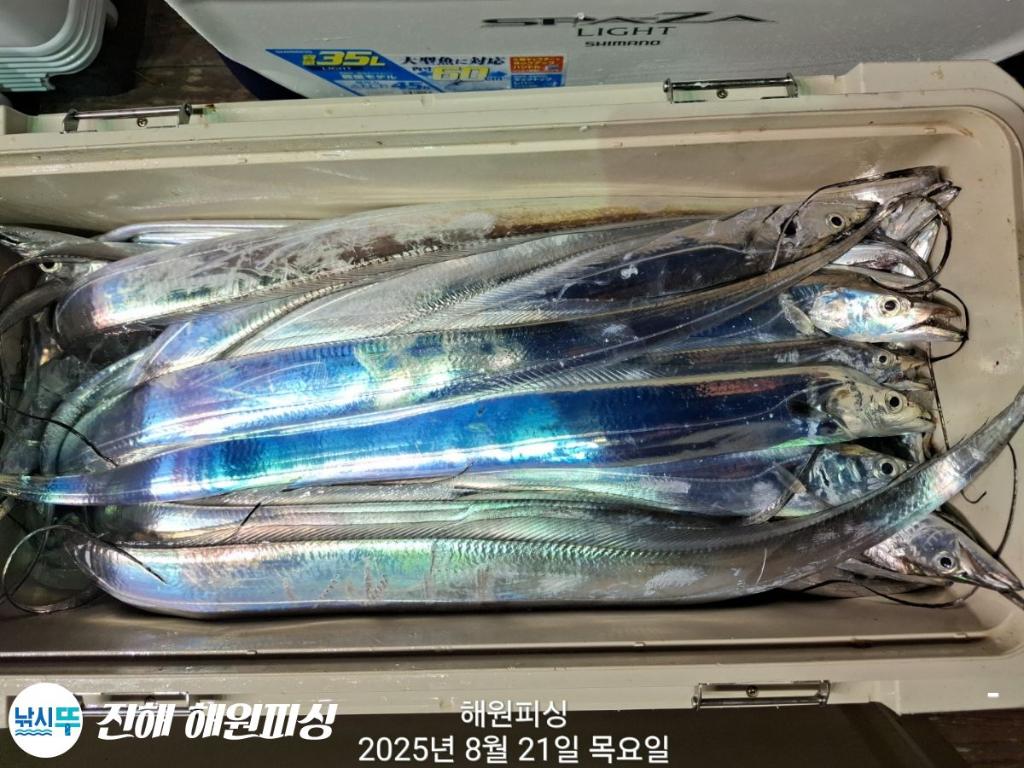 F27555012G.jpg