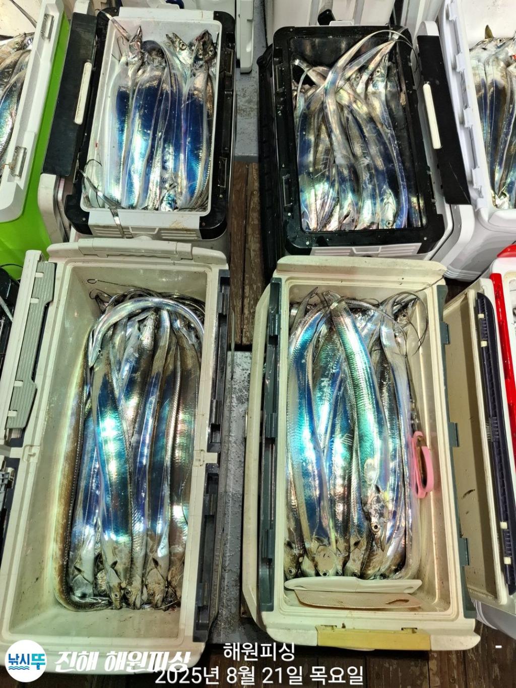 F2755504LN.jpg
