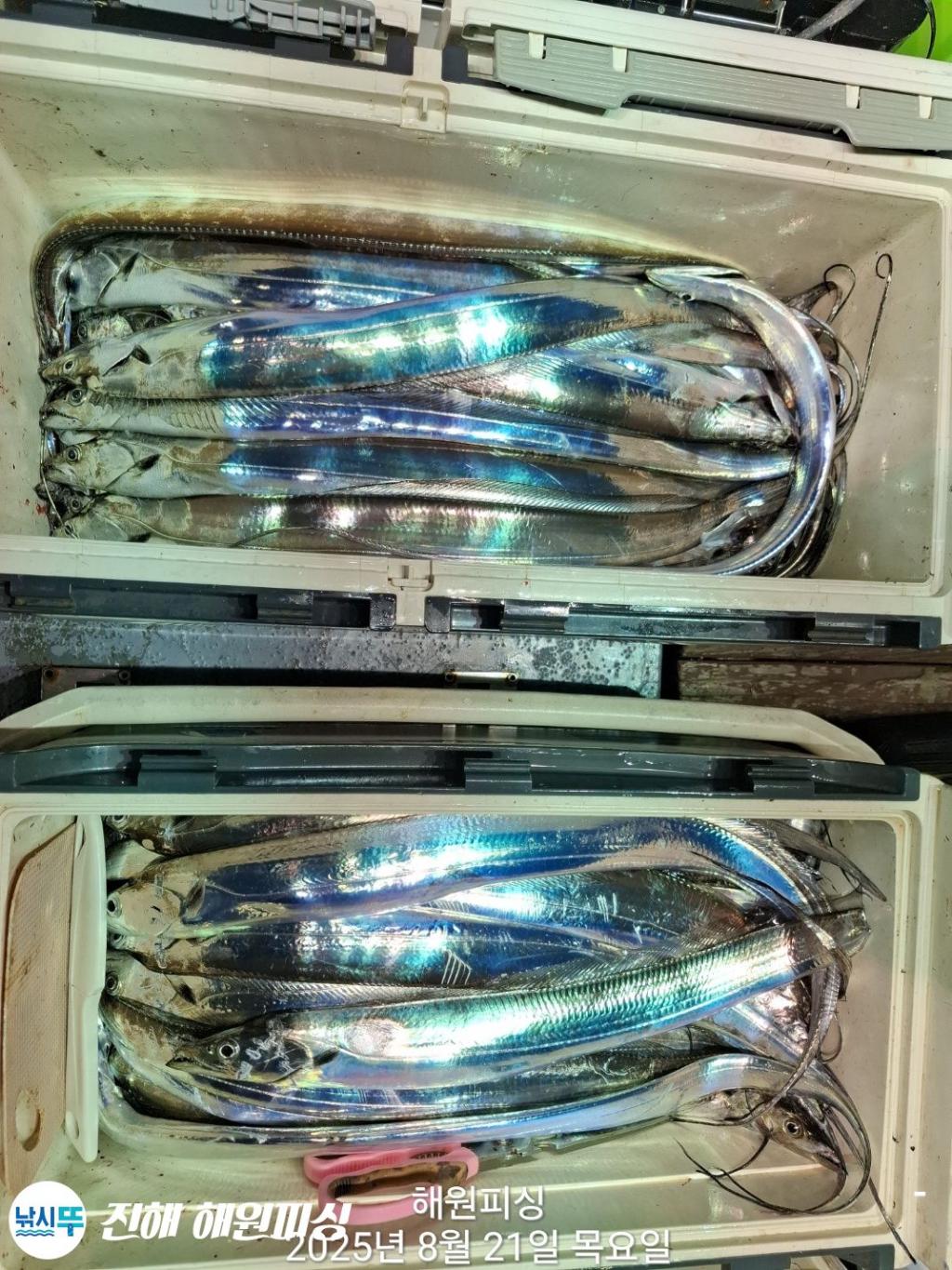 F2755505X0.jpg