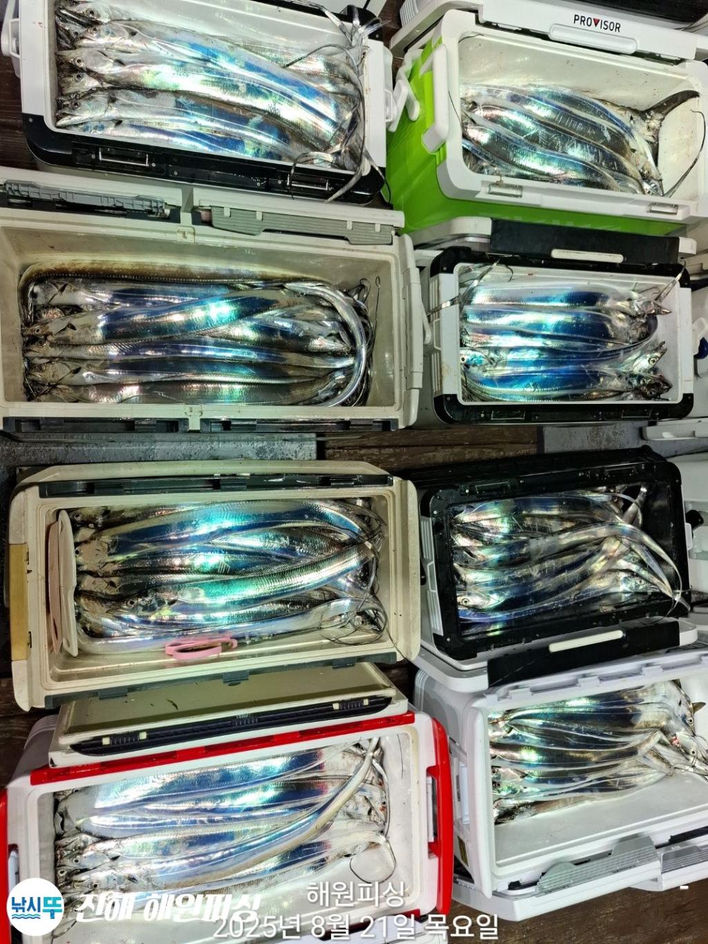F2755506UN.jpg