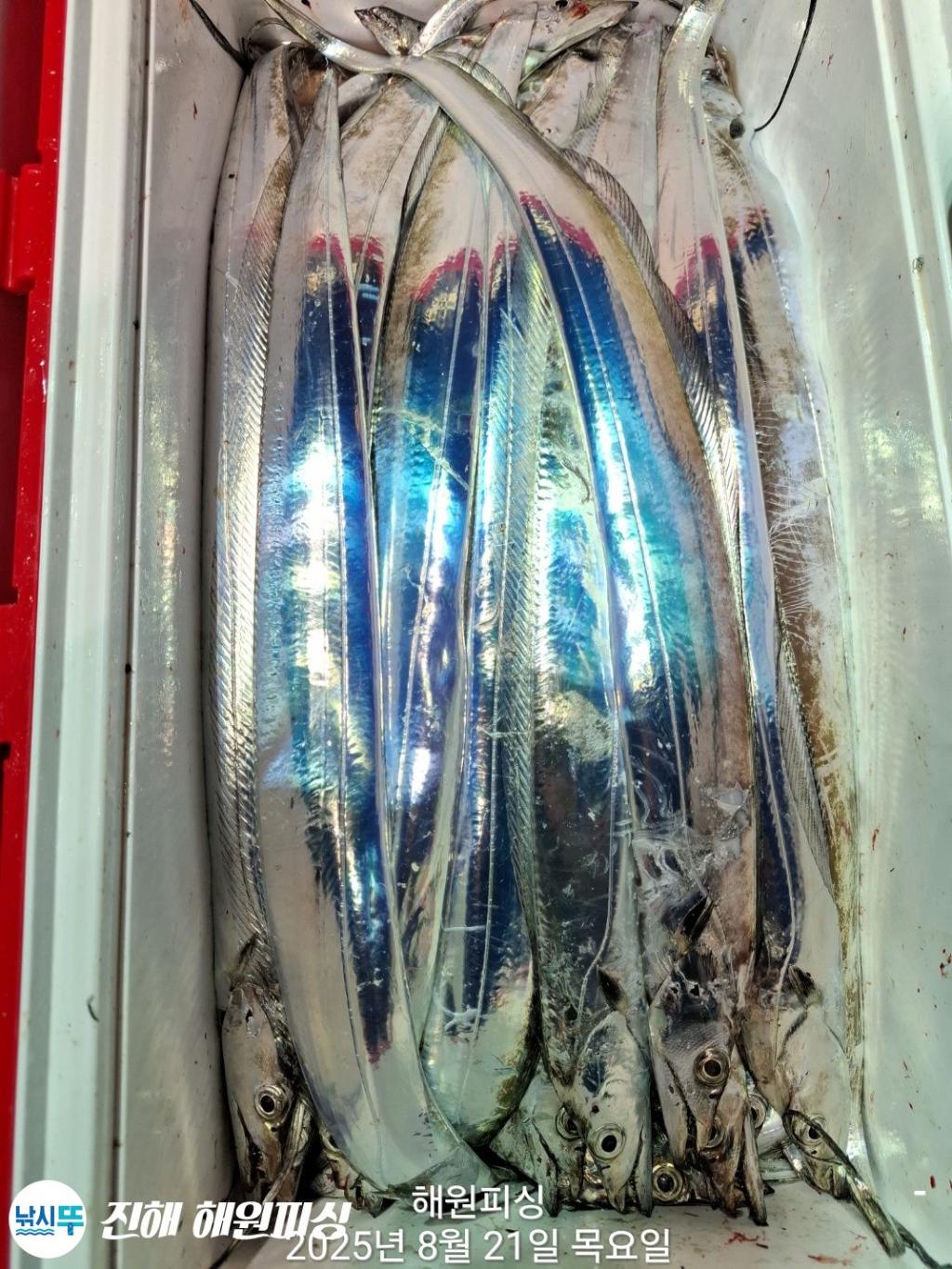 F2755509ZK.jpg