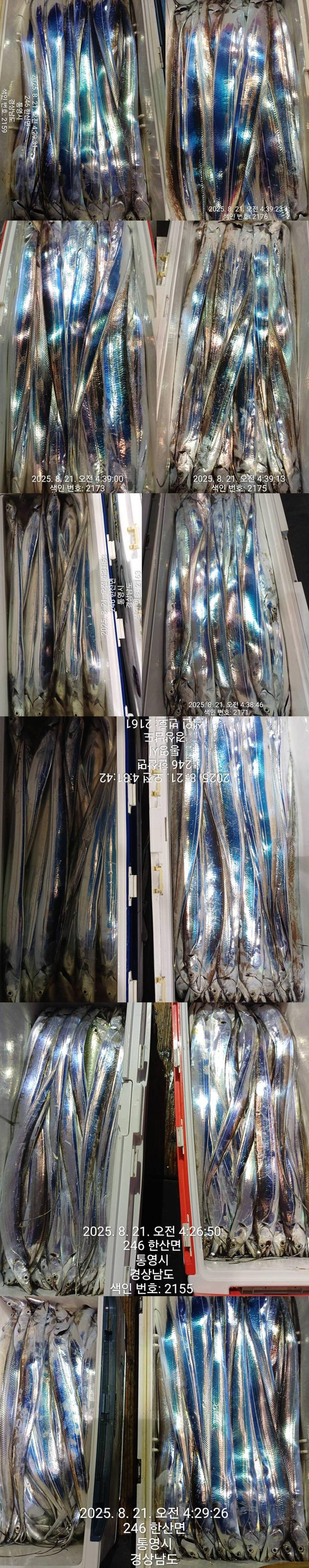 F2755520OV.jpg