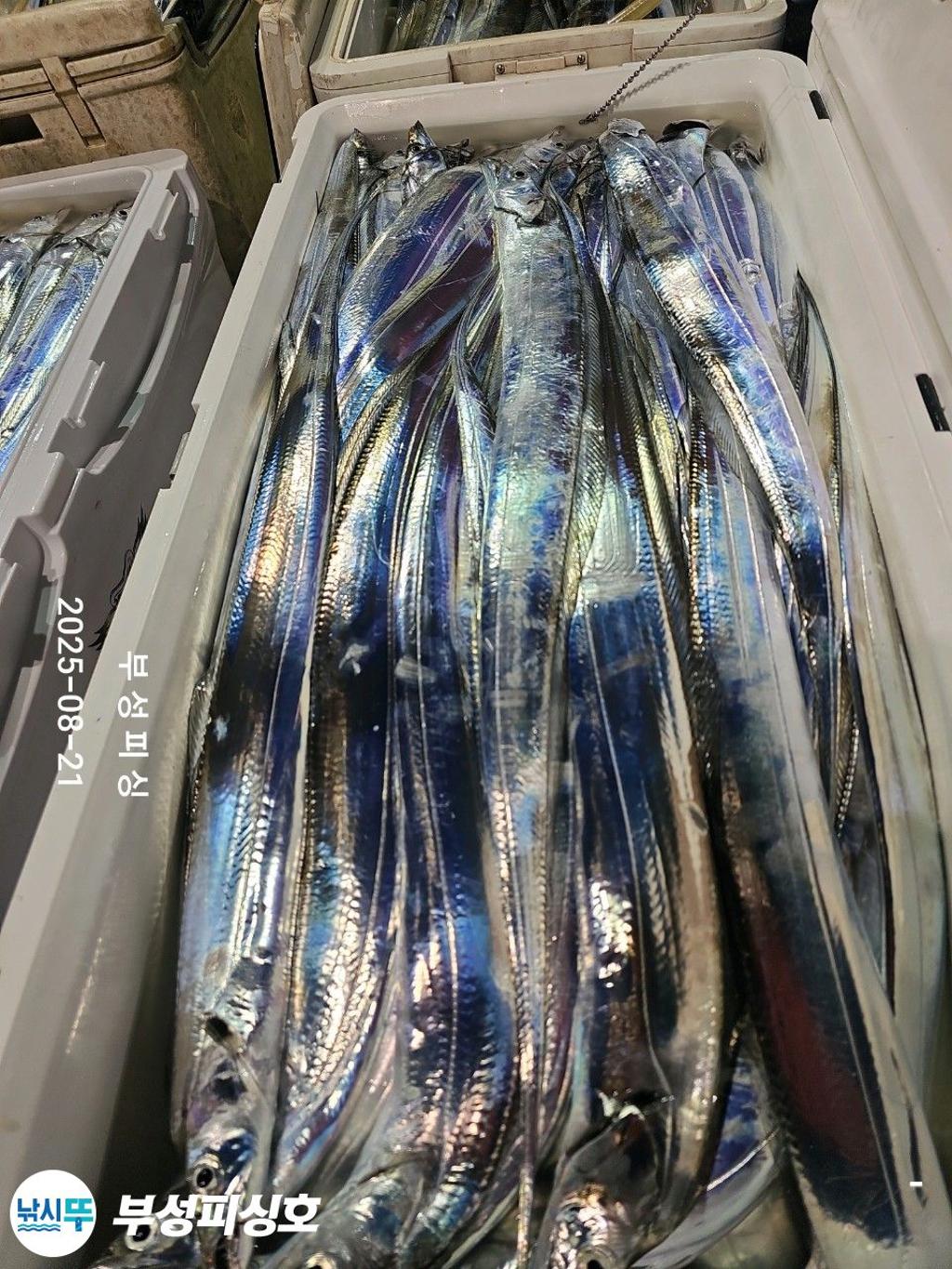 F2755524ZA.jpg
