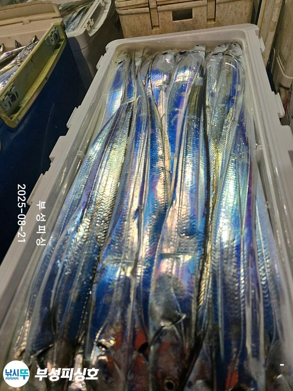 F2755528HQ.jpg